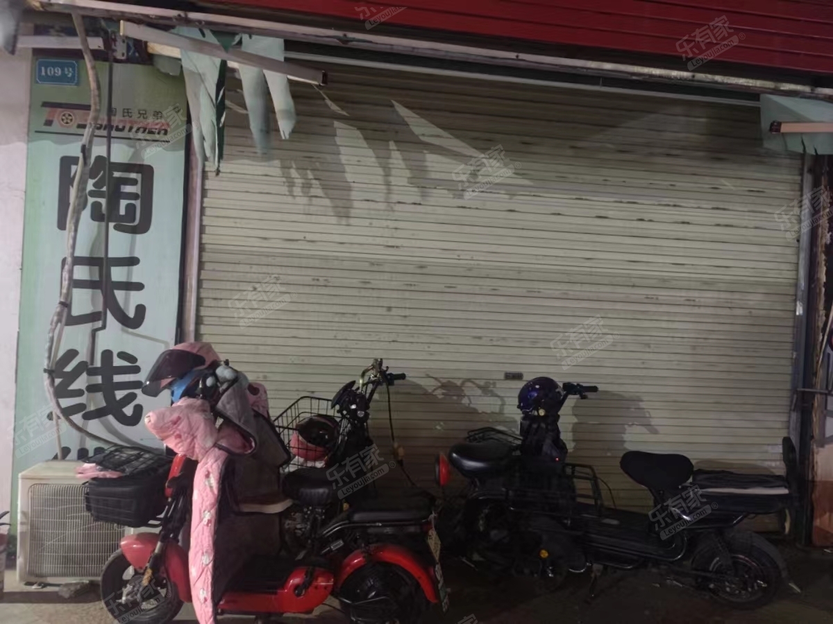 九洲家园西区居室-1