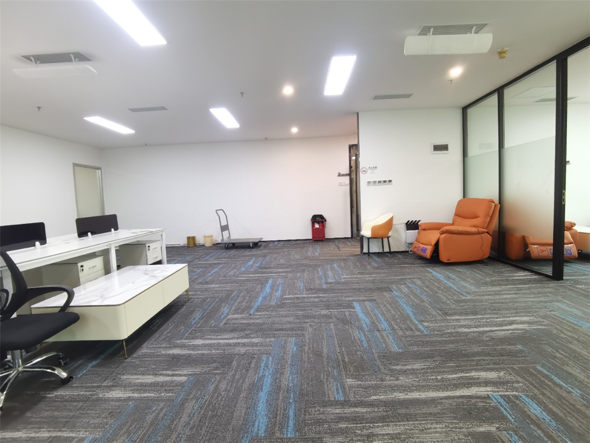 地王信兴广场居室-1