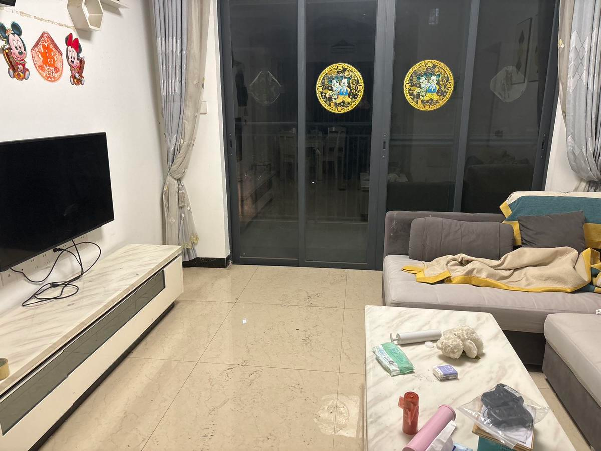 佳诚富鸿花园客厅-2