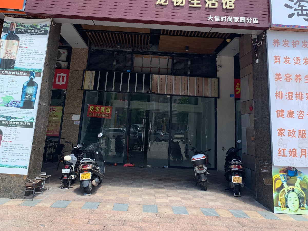 大信时尚家园一期居室-1