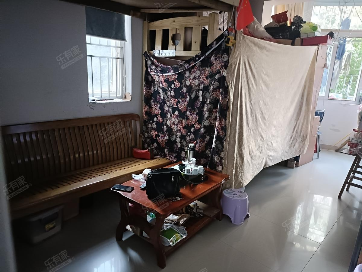 南油生活B区 1房1厅1卫 33.21㎡