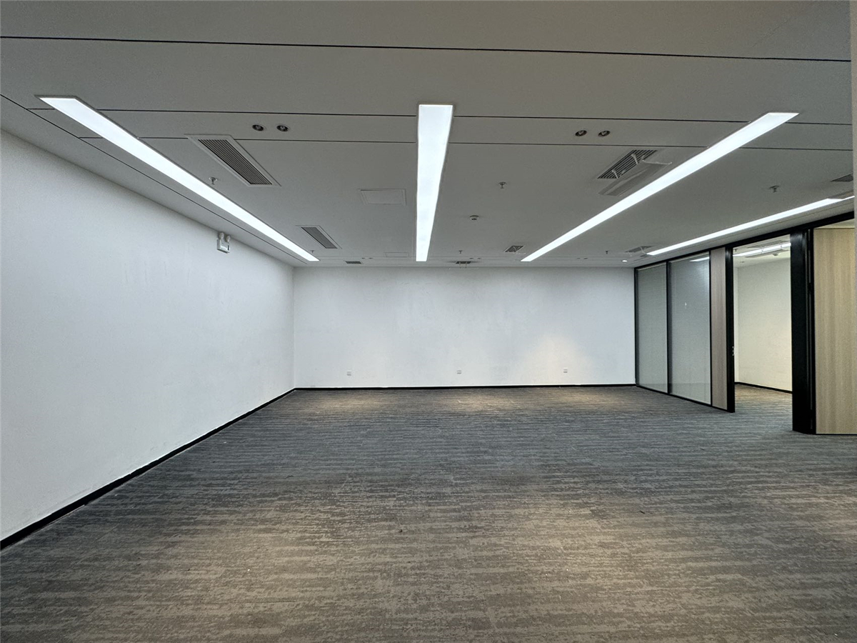 大冲国际中心居室-1