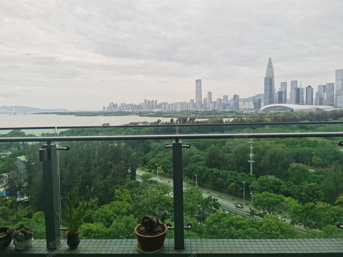 红树西岸客厅-1
