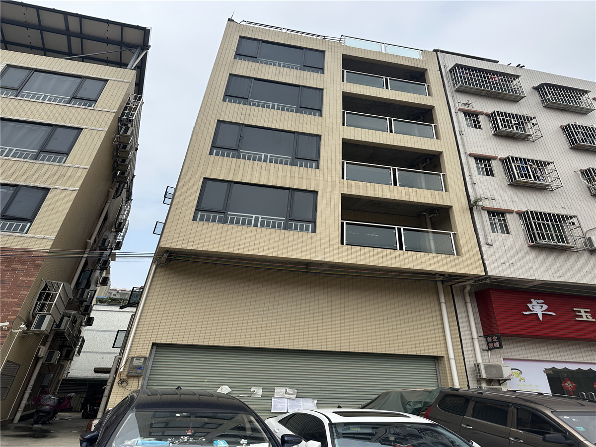 三角高平商业街自建房-中山兴源三街二手房