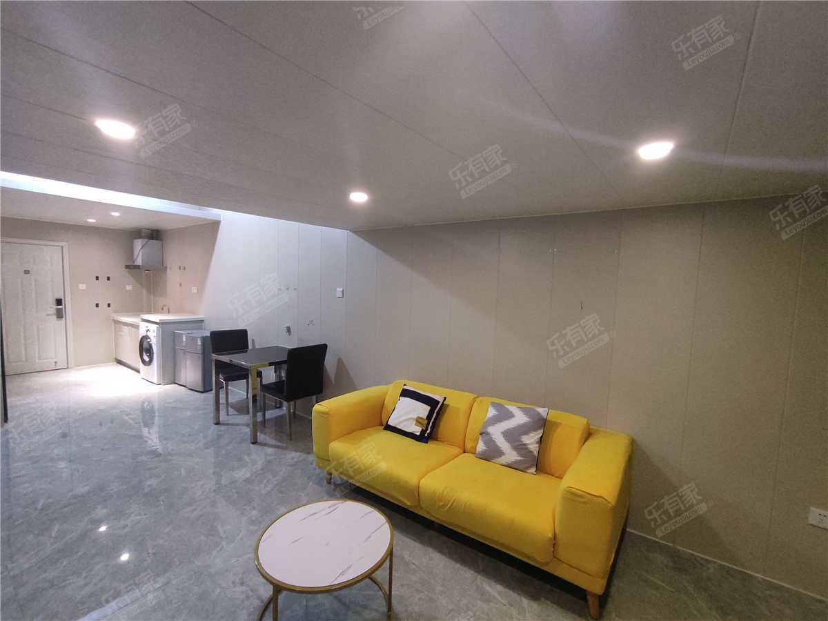 荔园商务公寓 北 精装 1室 1厅 45m² 