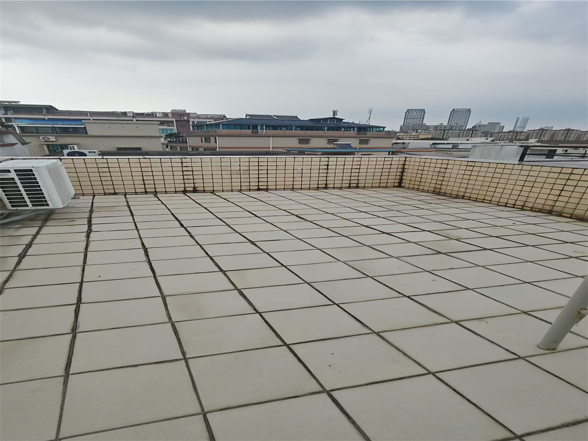 沙岗村 4房1厅3卫 312.04㎡-中山沙岗村租房