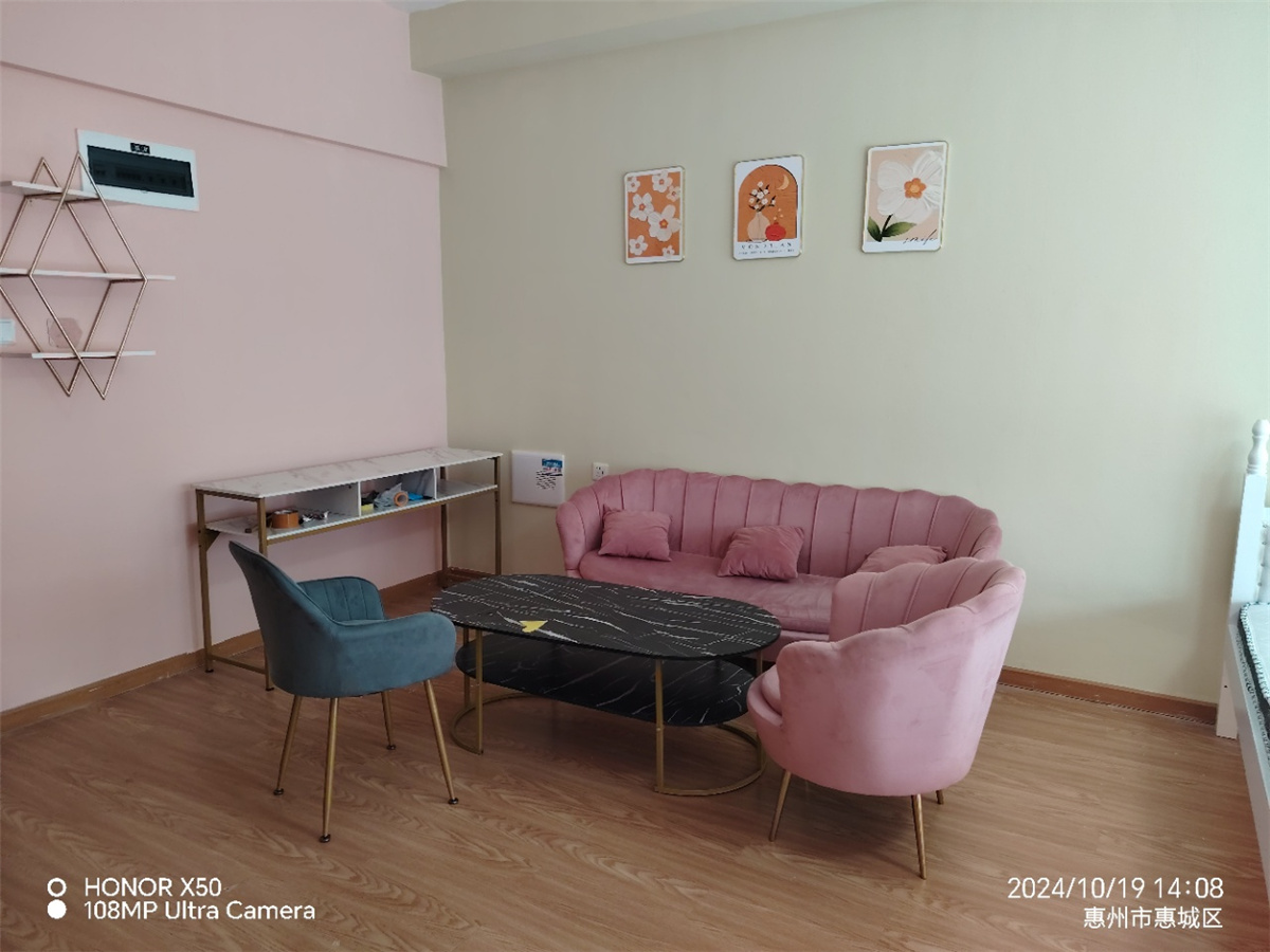 奥园领寓 1房1厅1卫 45㎡-惠州奥园领寓租房