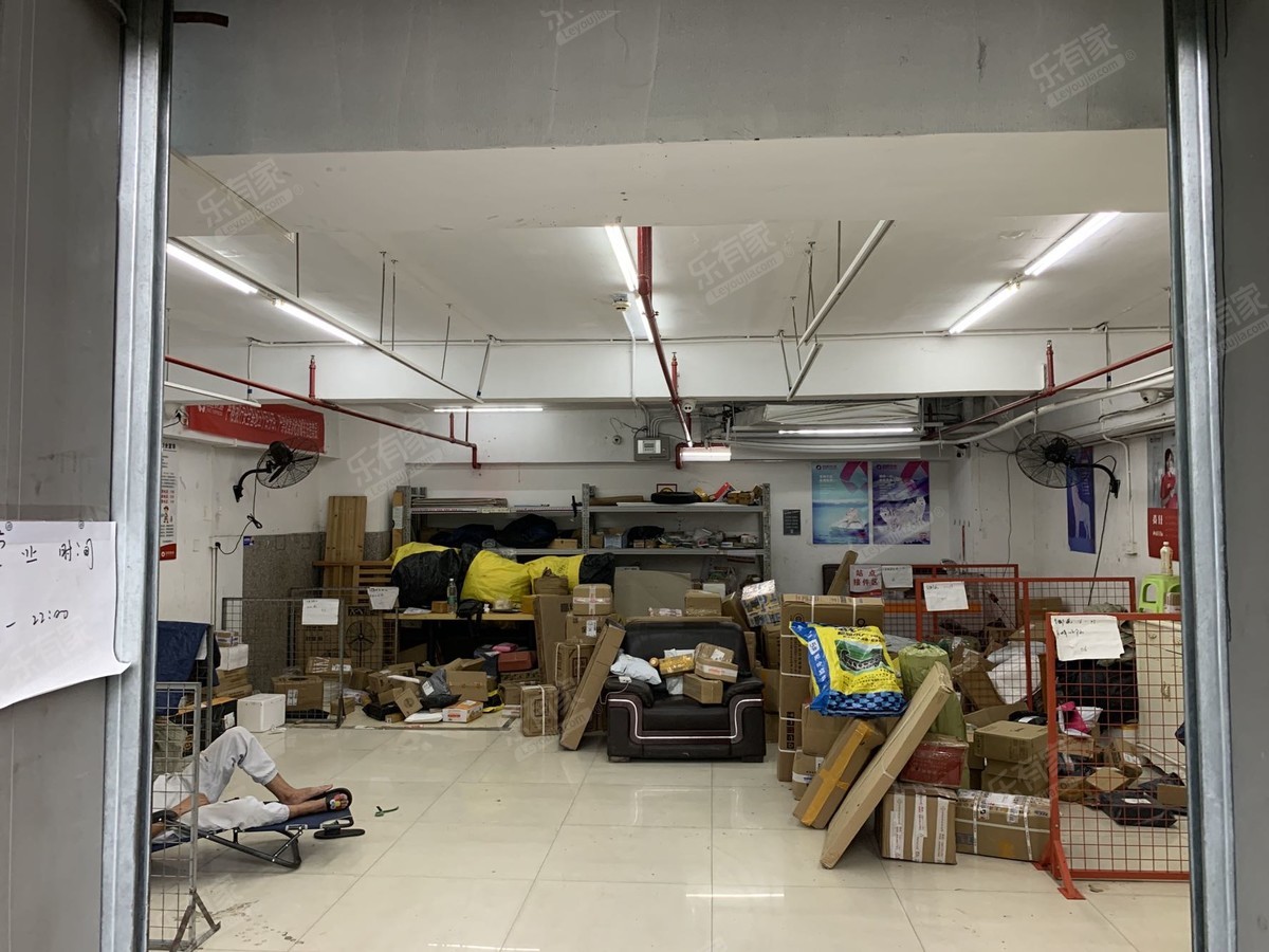 皇御苑A区南北精装3室2厅101.11m²
