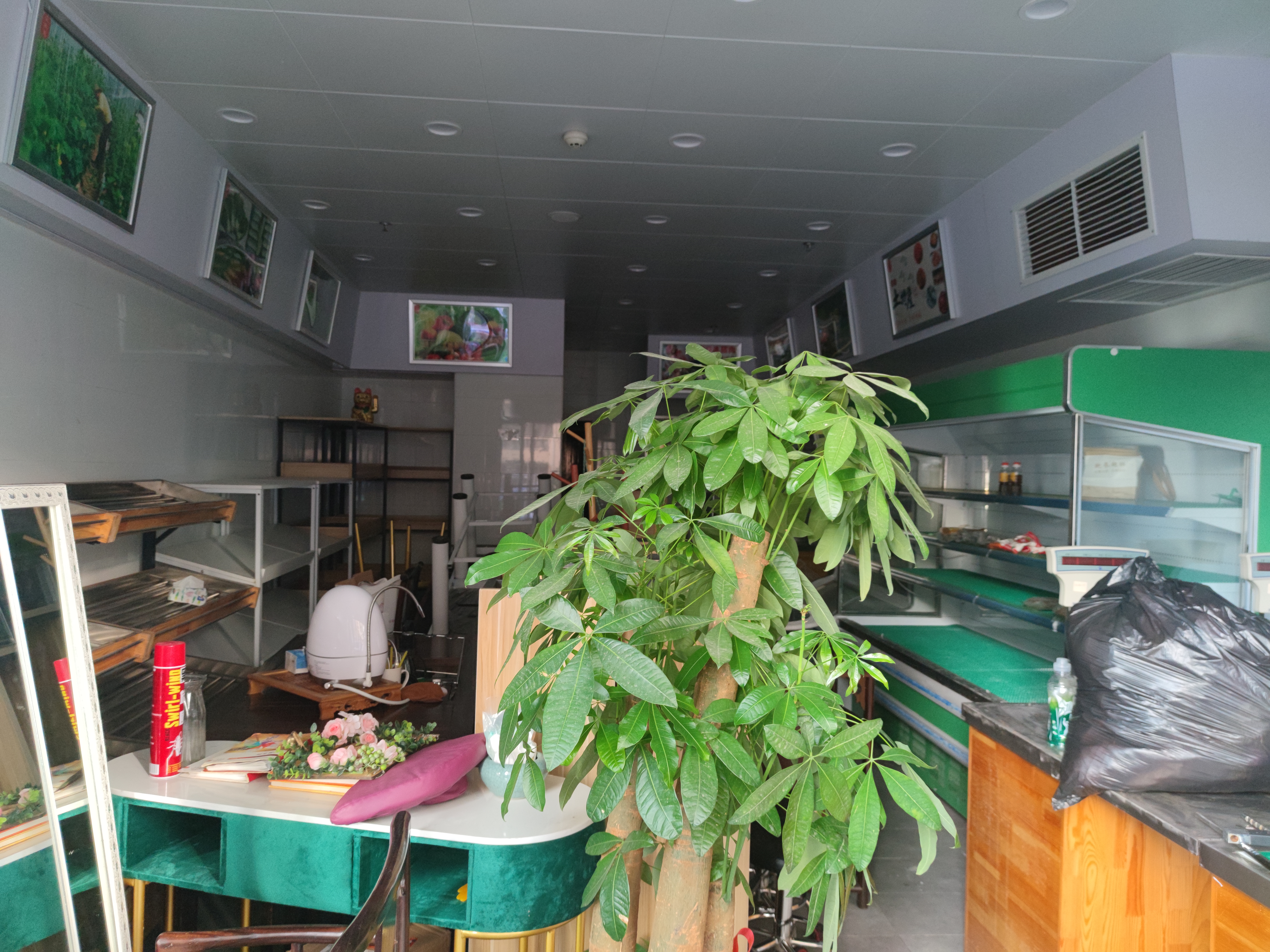 同创九著普装一房-深圳同创九著院租房