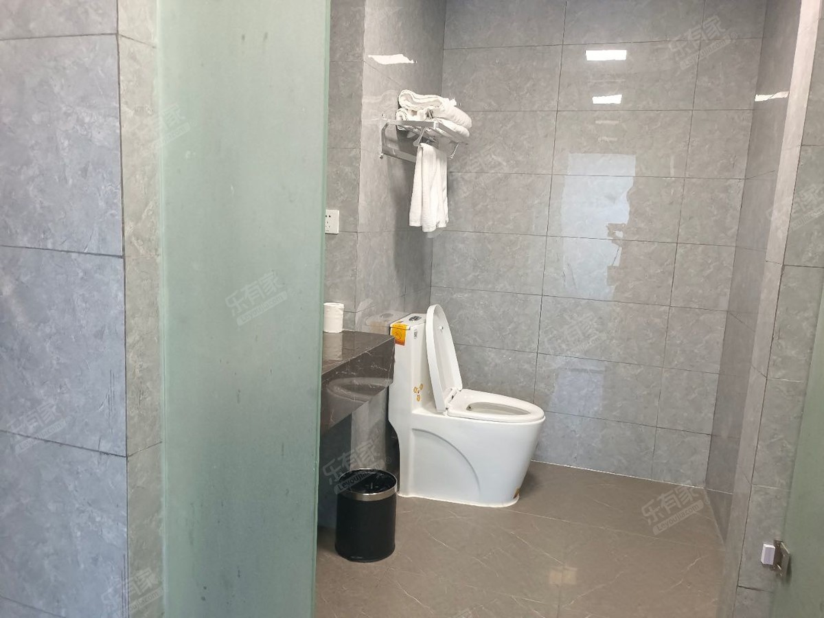 莱可国际厕所-1