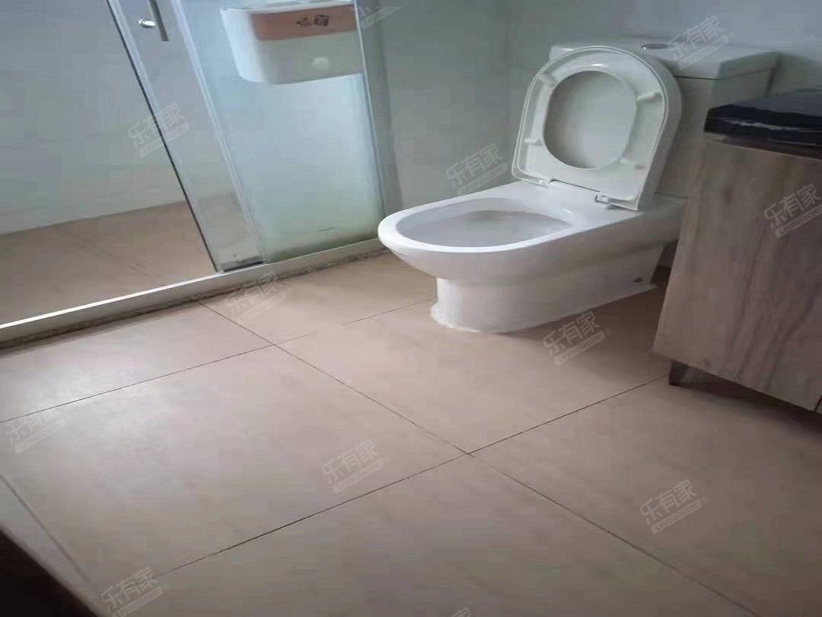 碧桂园豪园水新厕所-2
