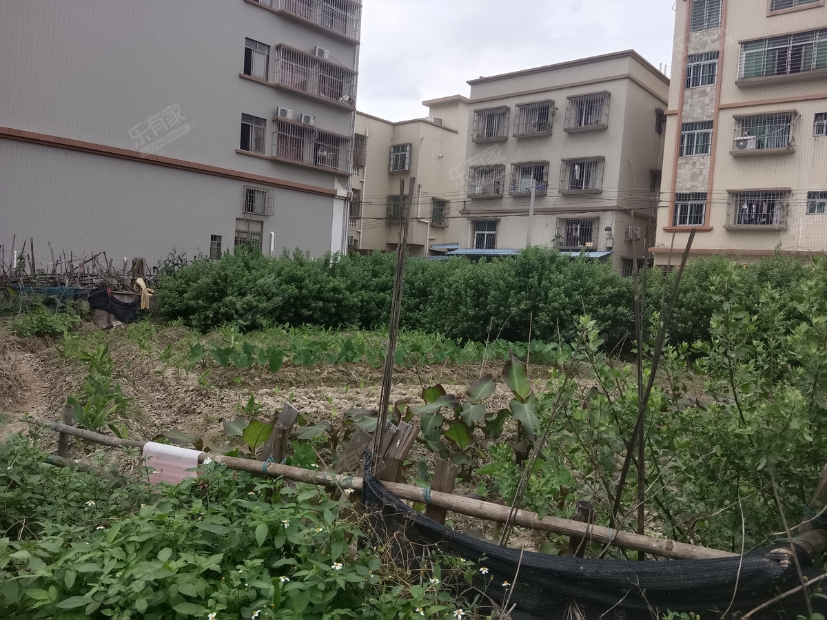急售东区地皮位置优越-中山白沙湾二手房