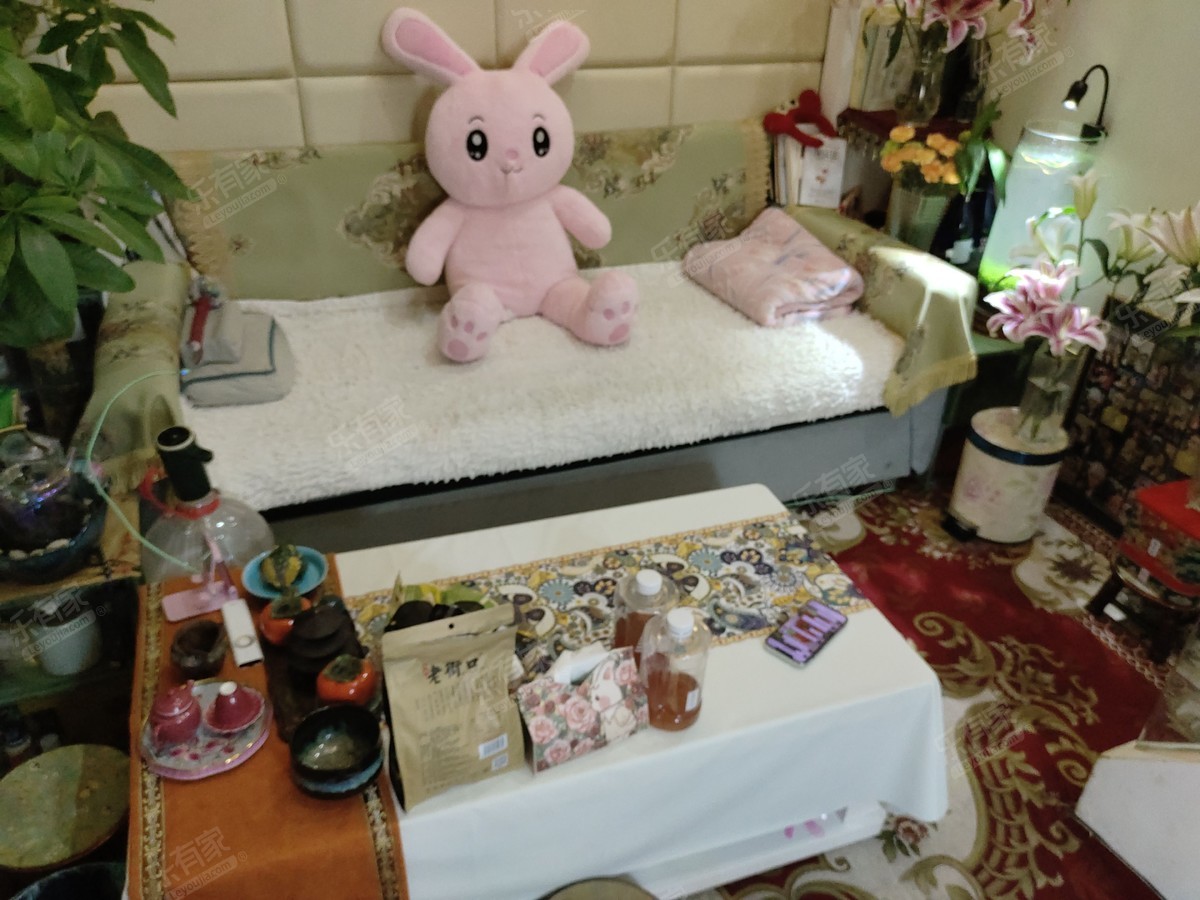 世界金融中心 2房2厅2卫 46.7㎡-中山世界金融中心二手房