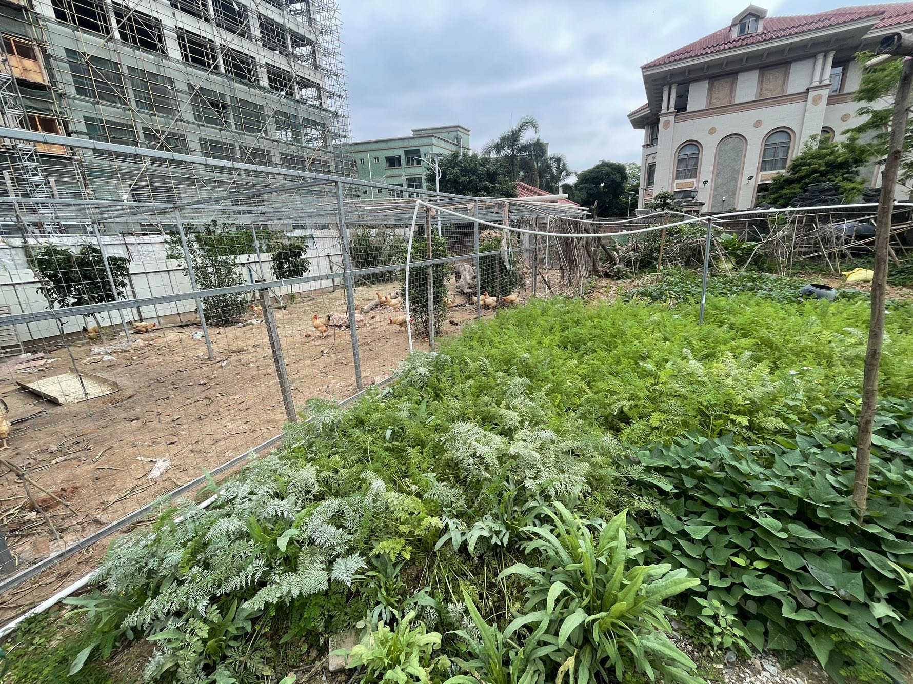 别墅群小区安静地皮德明苑1200m²-珠海德明苑租房
