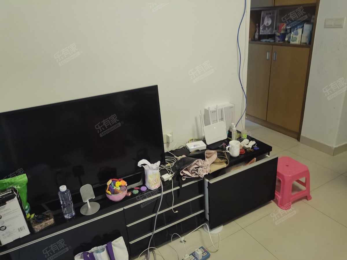 美莲花园客厅-1