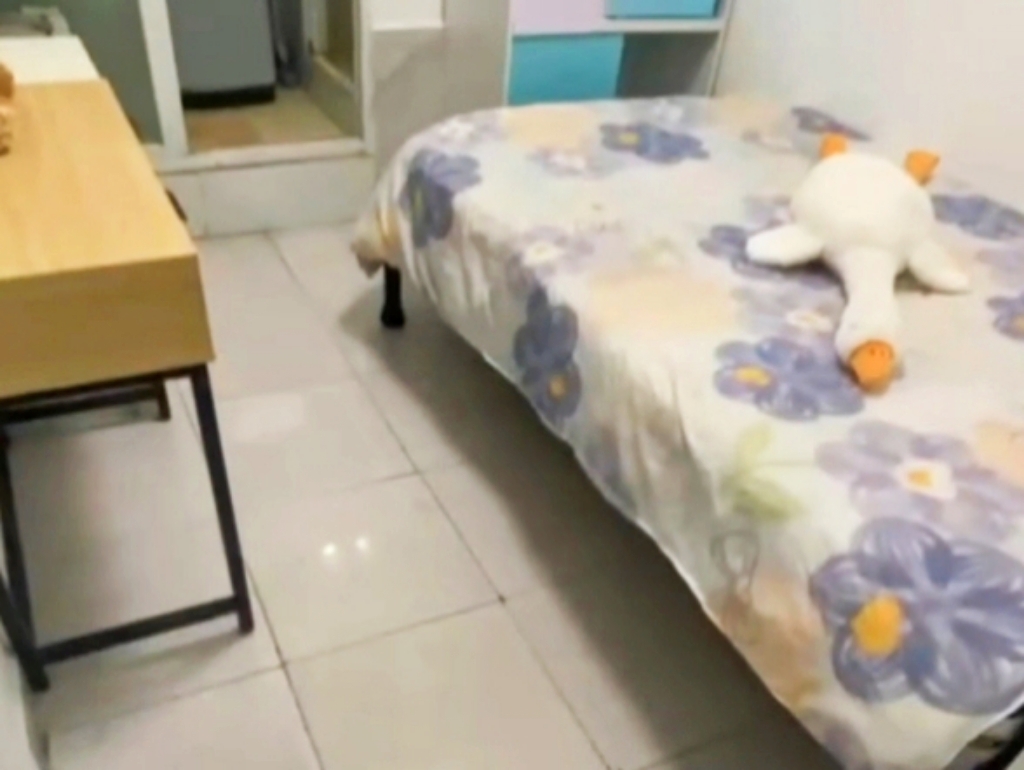 业主诚心出租