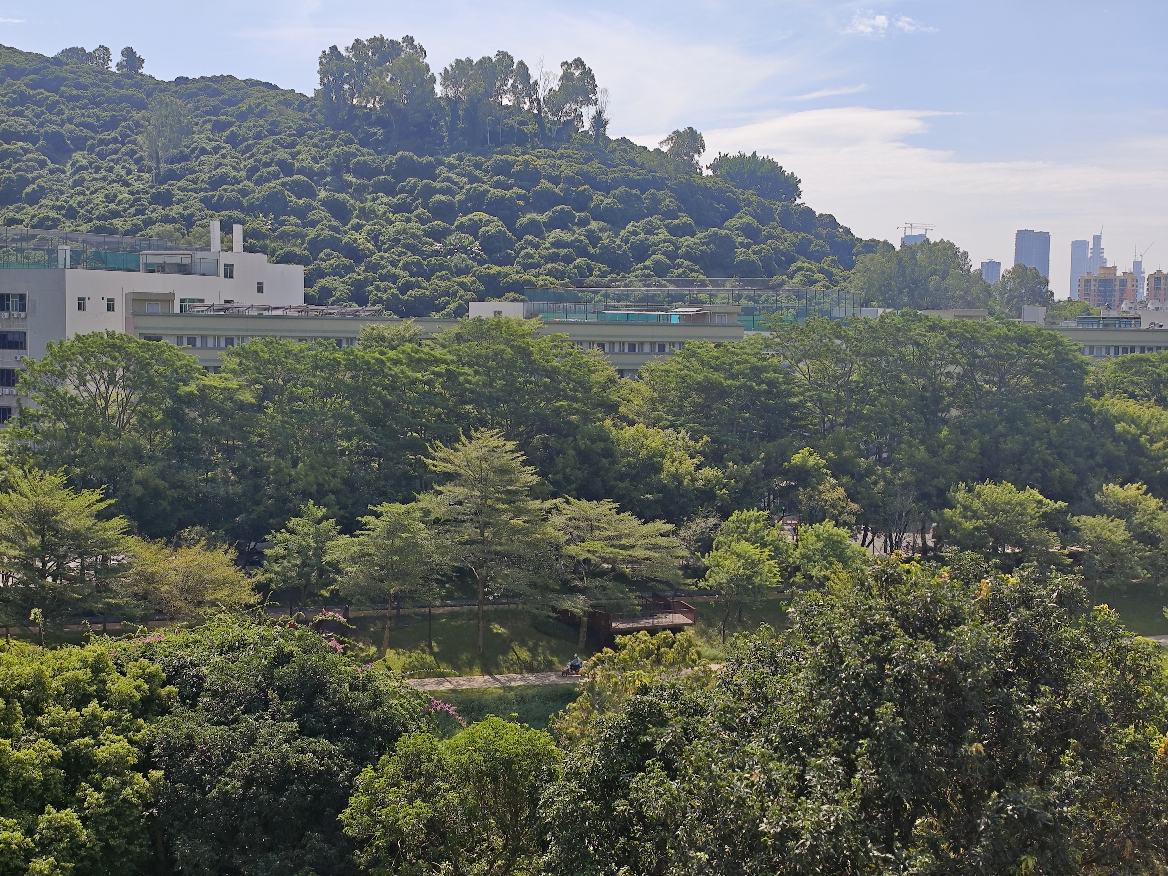 众冠花园 5房2厅2卫 190㎡-佛山众冠花园租房