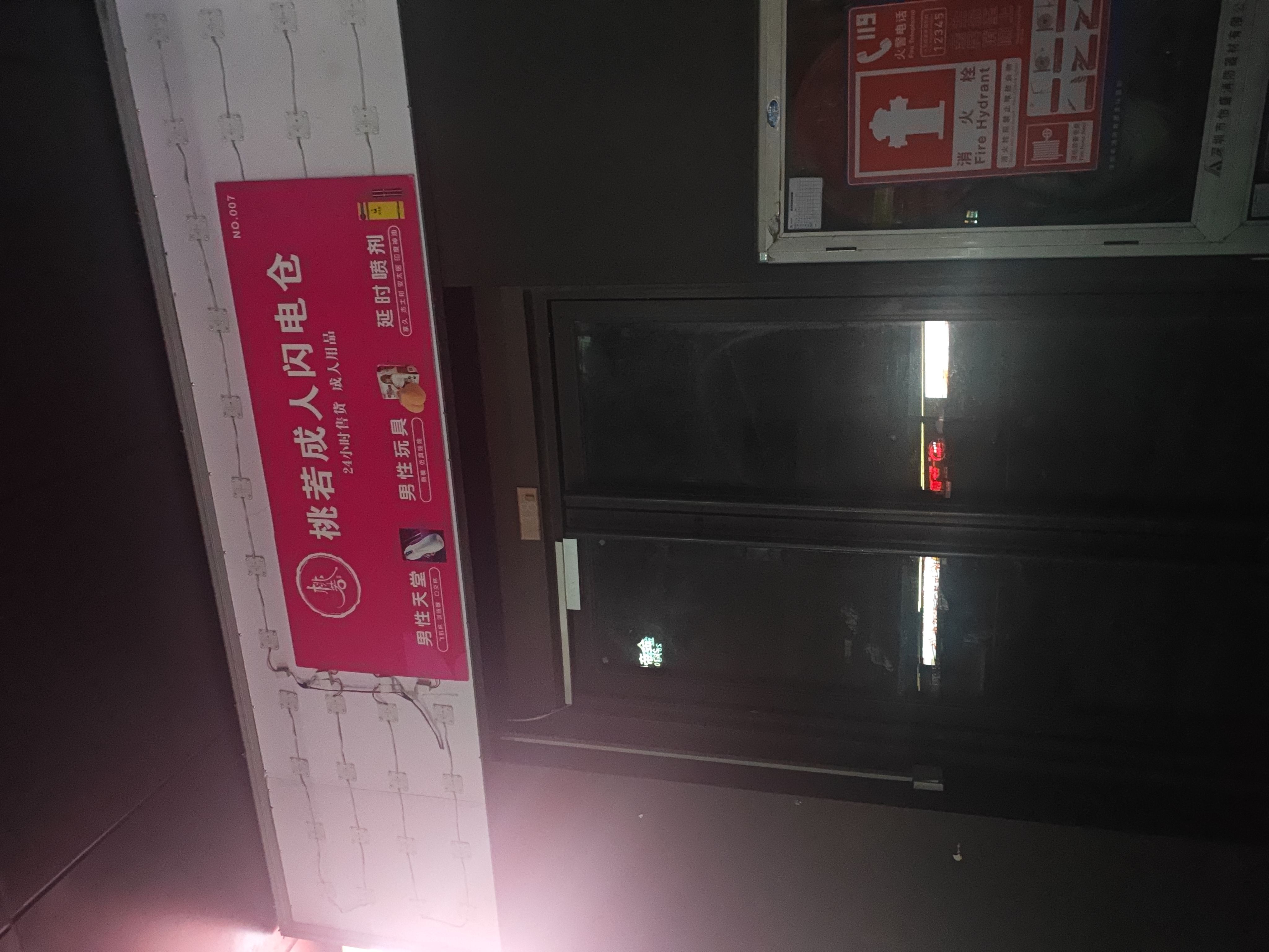 金地龙城中央三期居室-1