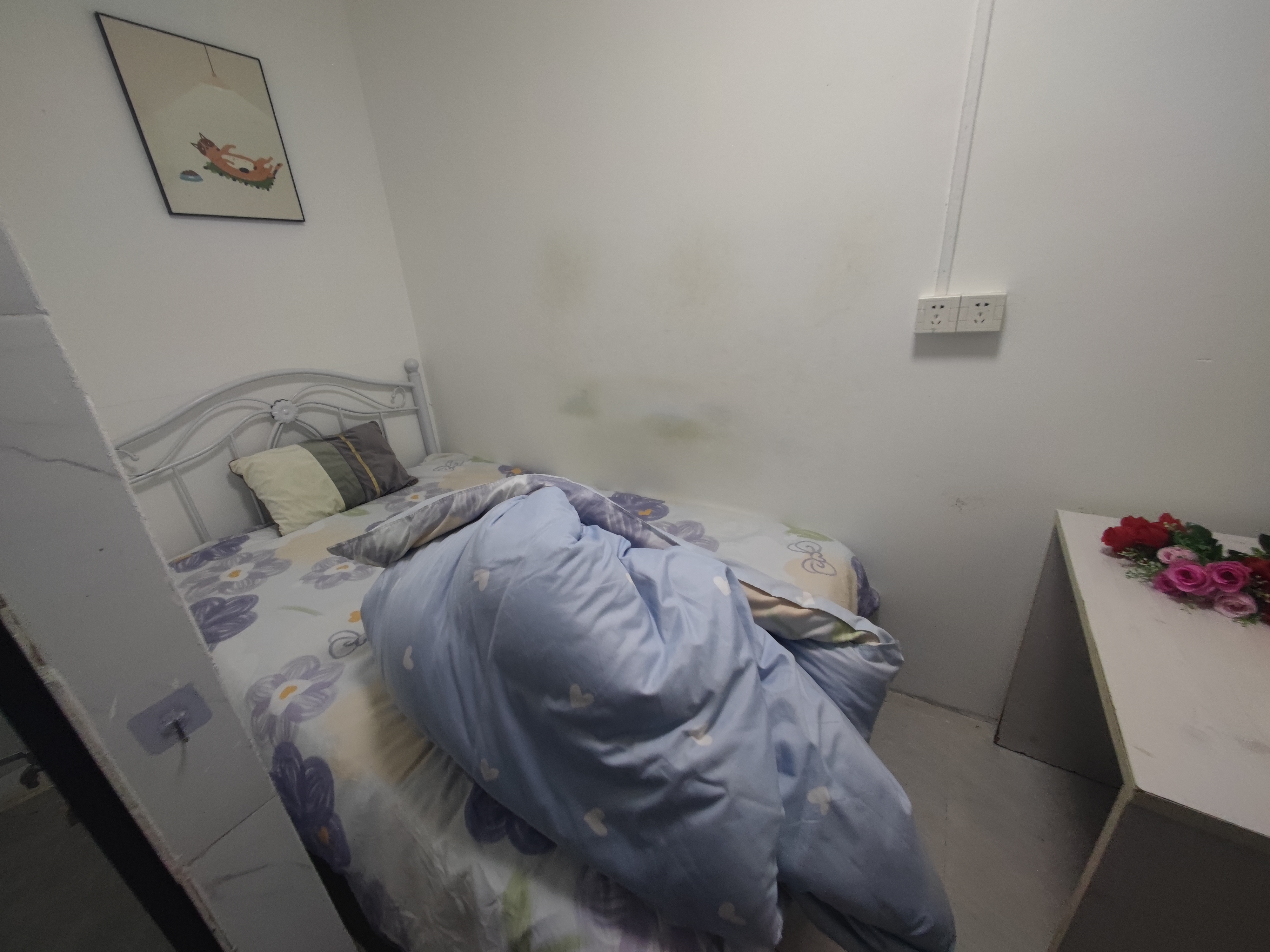 莲丰雅苑二期 1房0厅1卫 15㎡-深圳莲丰雅苑二期租房