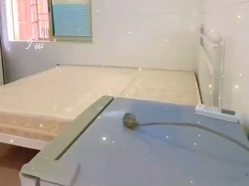 南园村小户型诚心出租