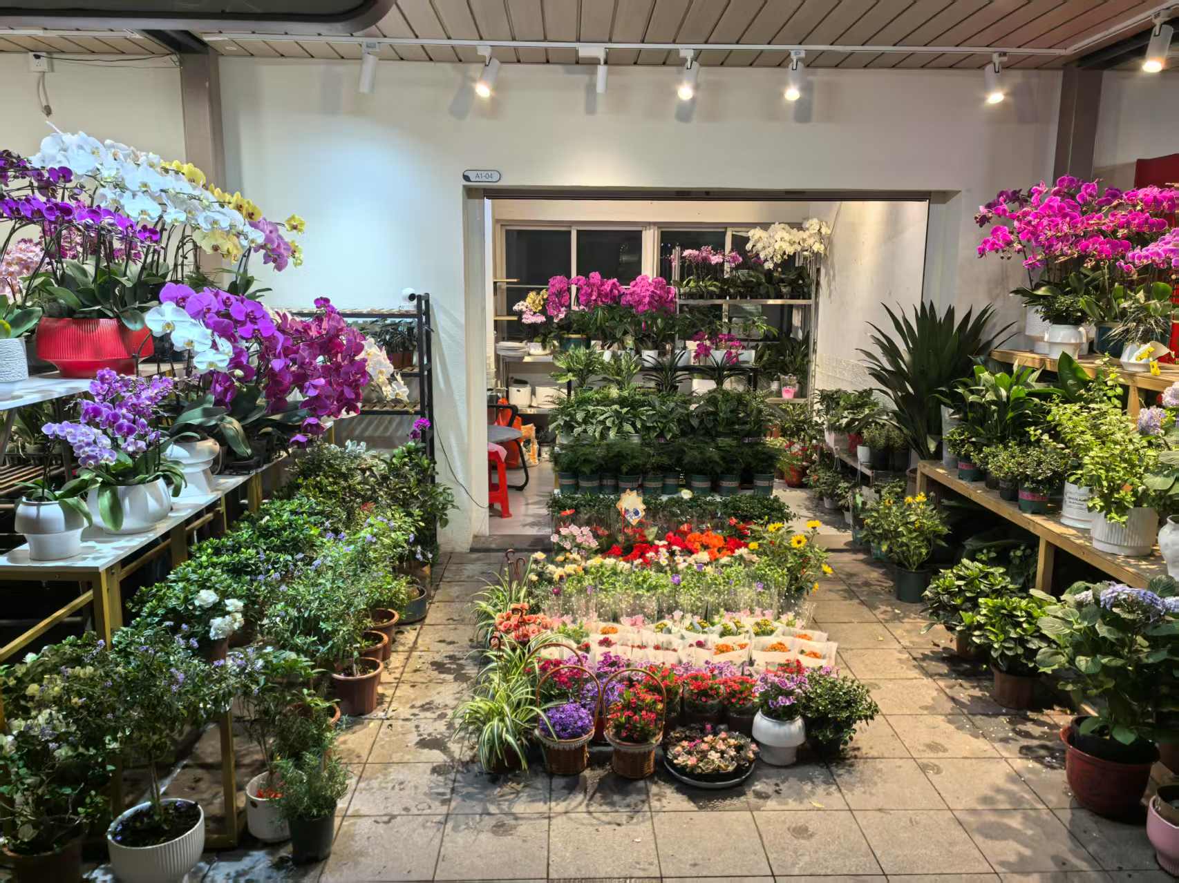 荷兰花卉小镇东南普装1室25m²-深圳荷兰花卉小镇租房