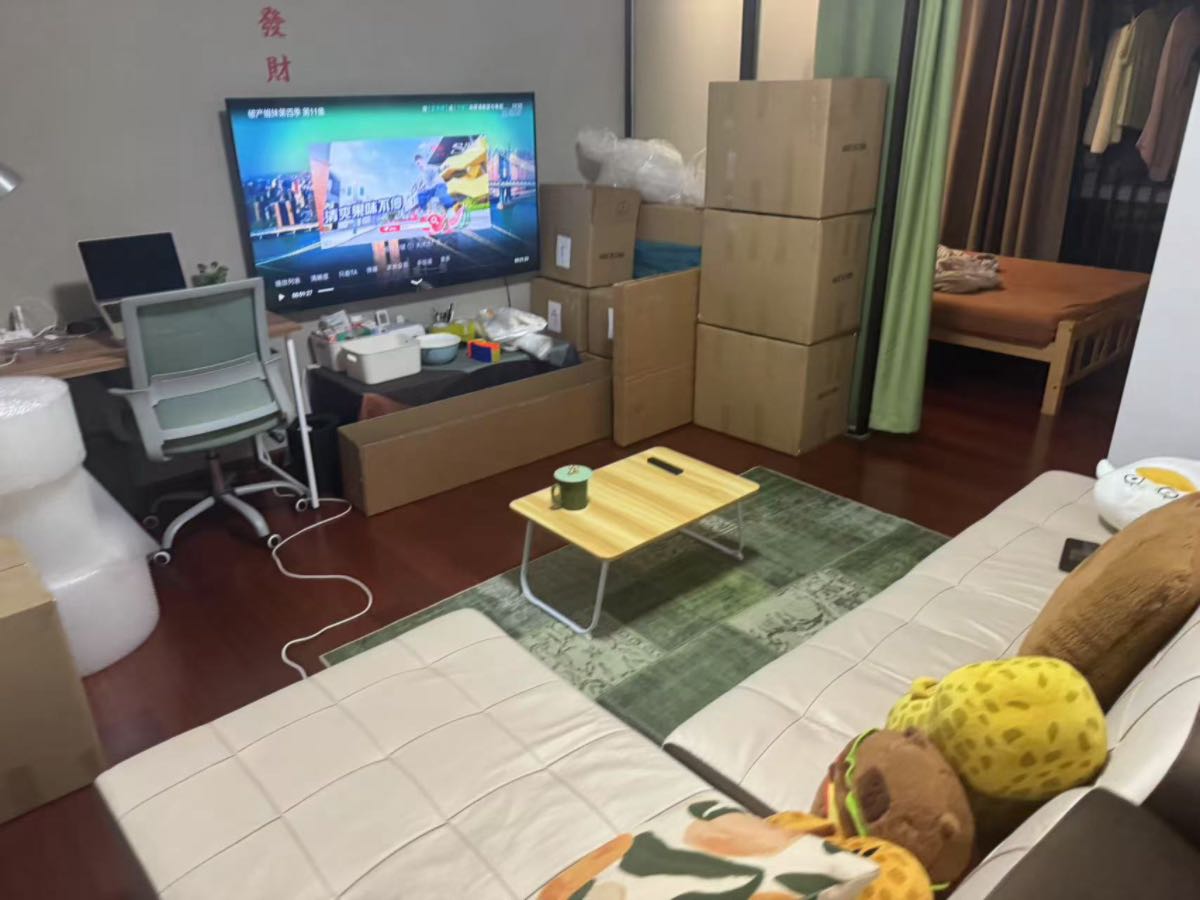 深业U中心 1房1厅1卫 60㎡