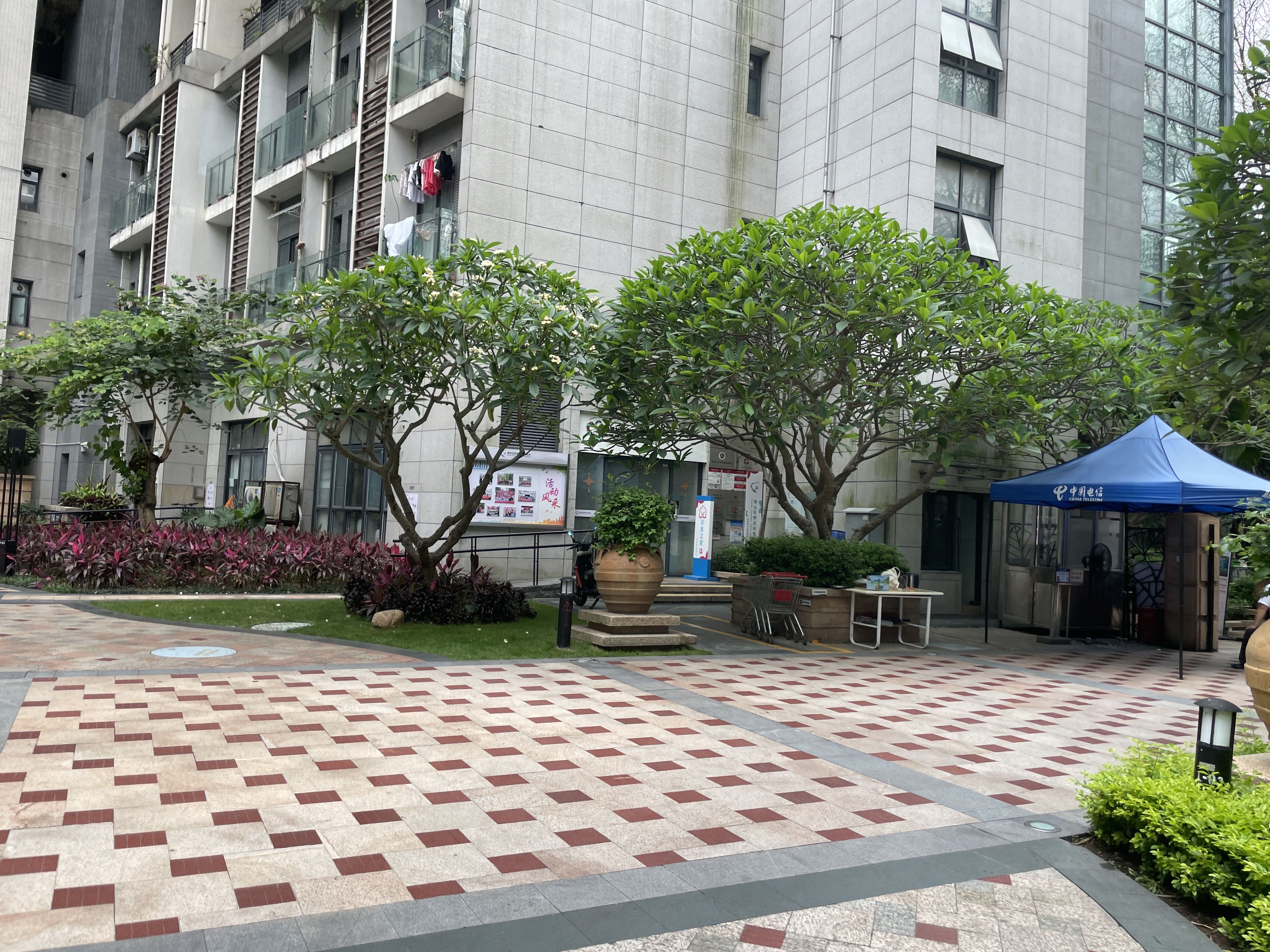 招商海月花园五期实景图