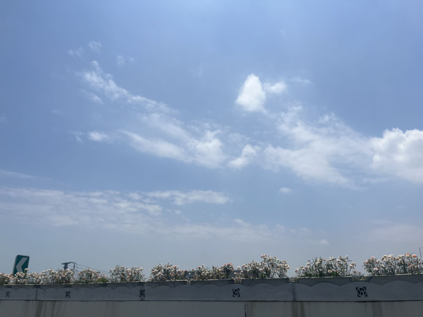 精装大两房-佛山南荔苑租房