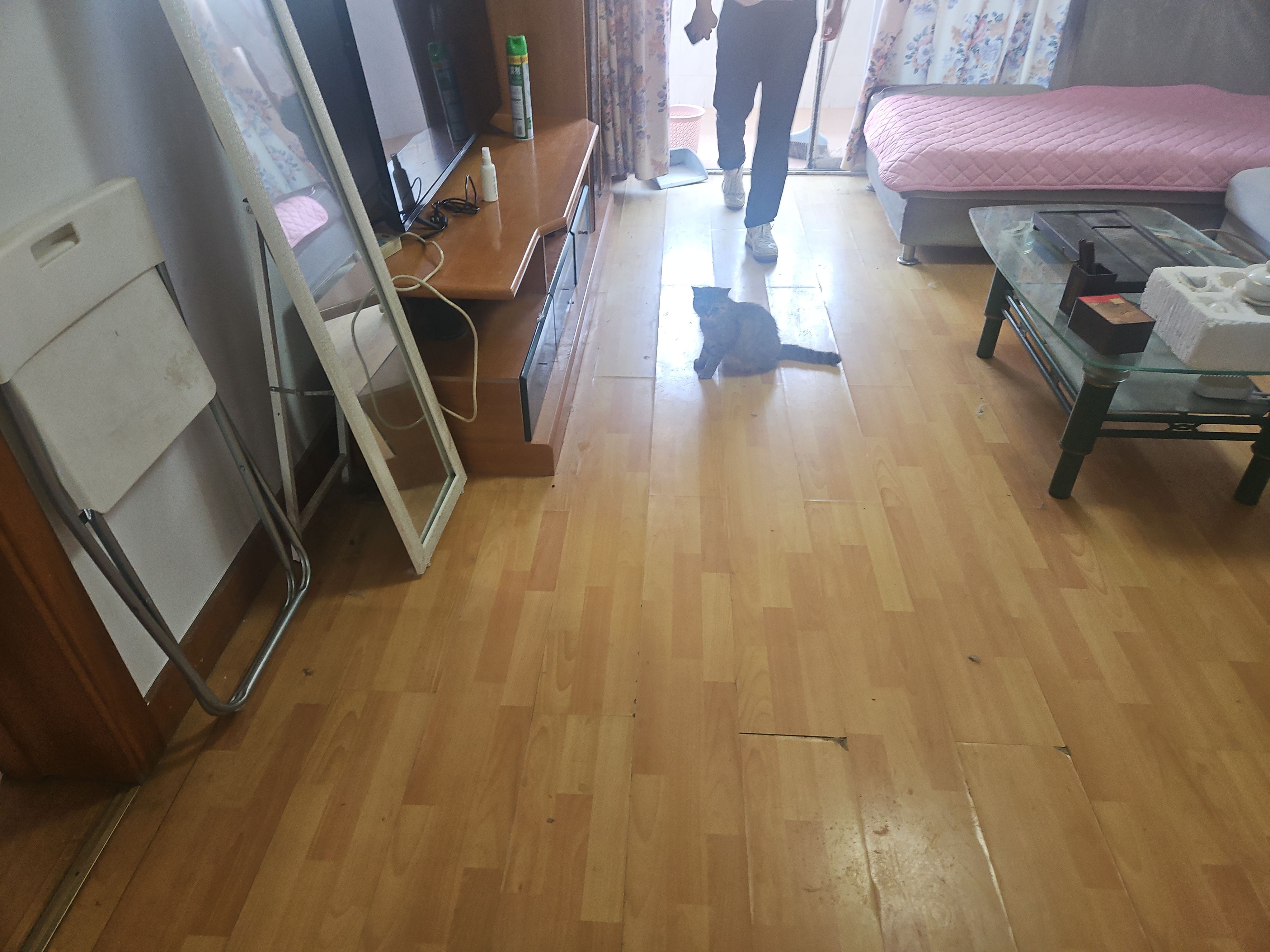 蛇口大户型3房，得房率高