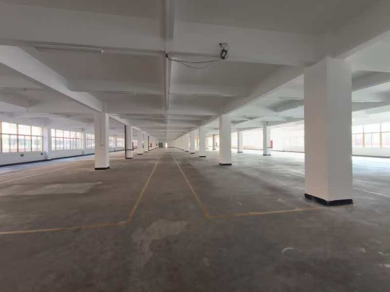 十涌路27号 工业 1850㎡