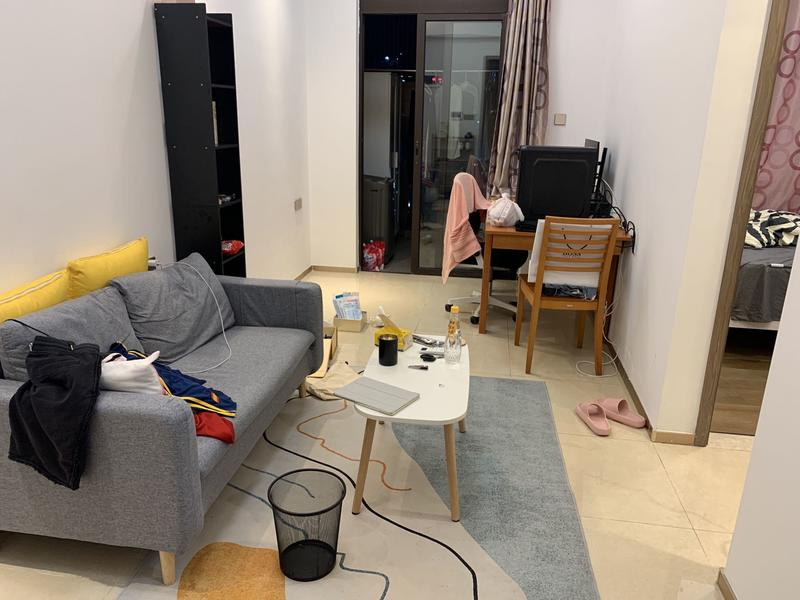 南太云创谷 1房1厅1卫 46㎡-深圳南太云创谷租房