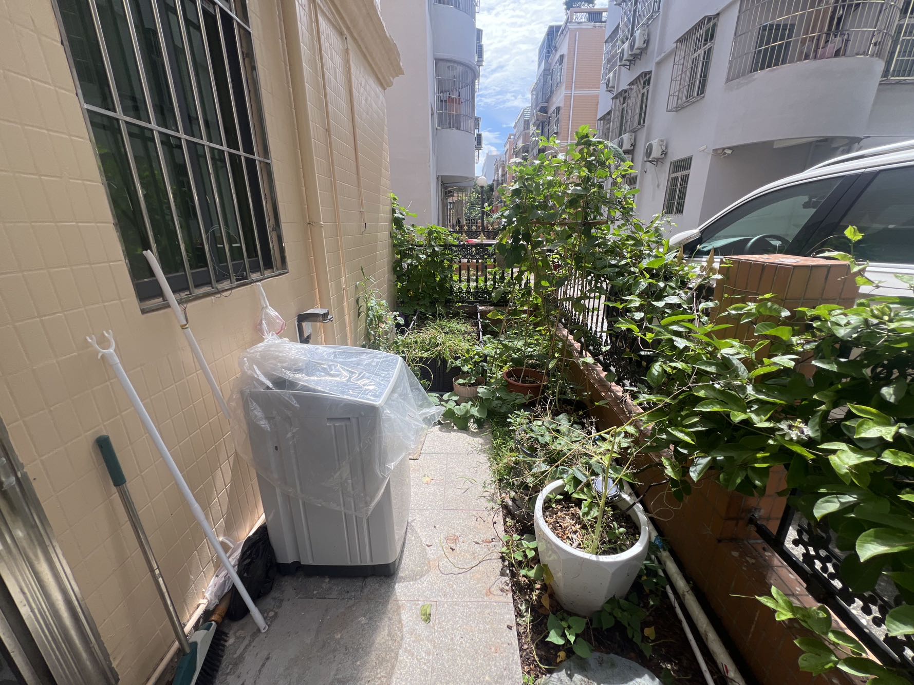梧桐花园客厅-1