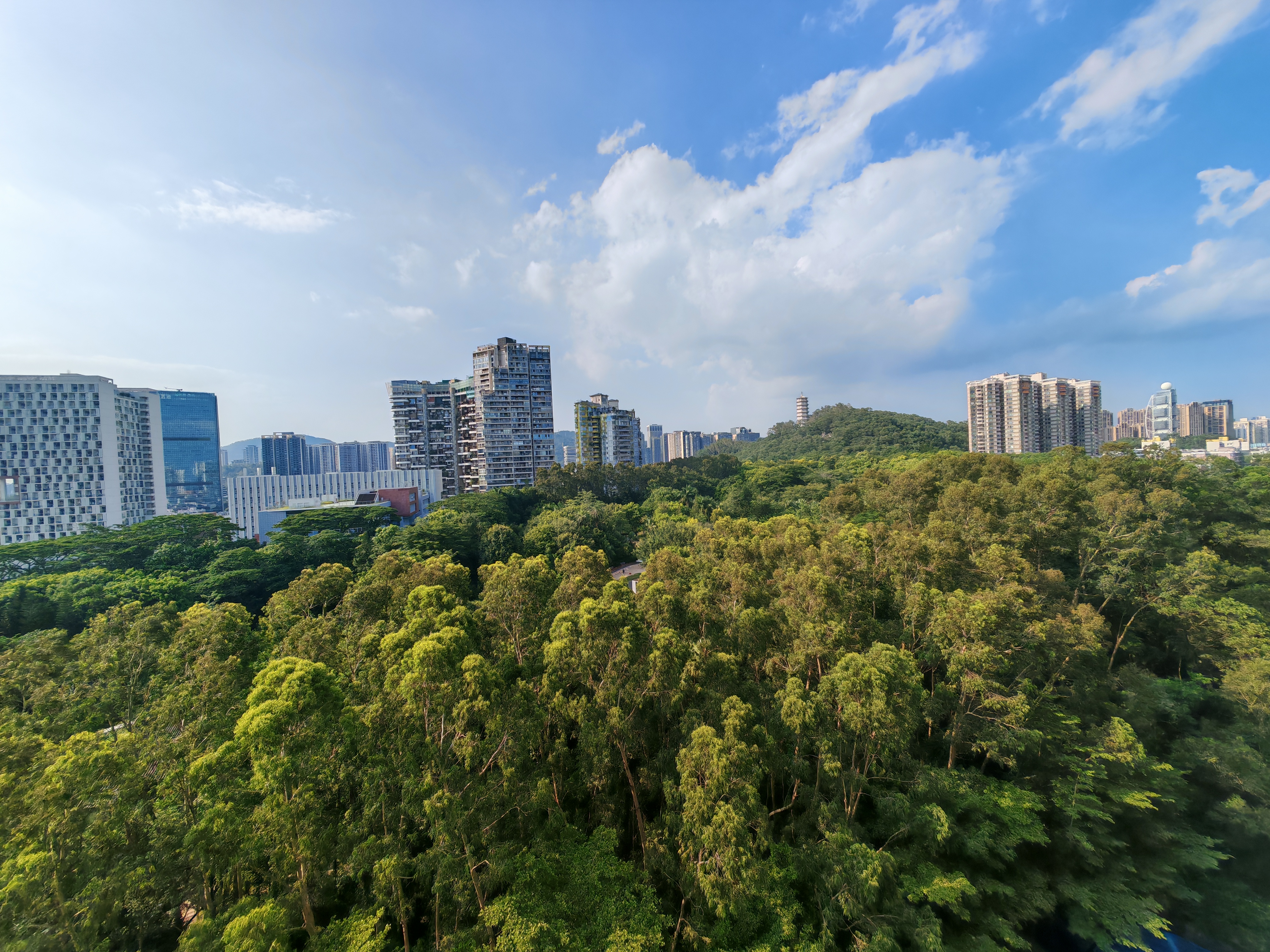 金海花园 2房2厅1卫 76㎡-珠海金海花园租房