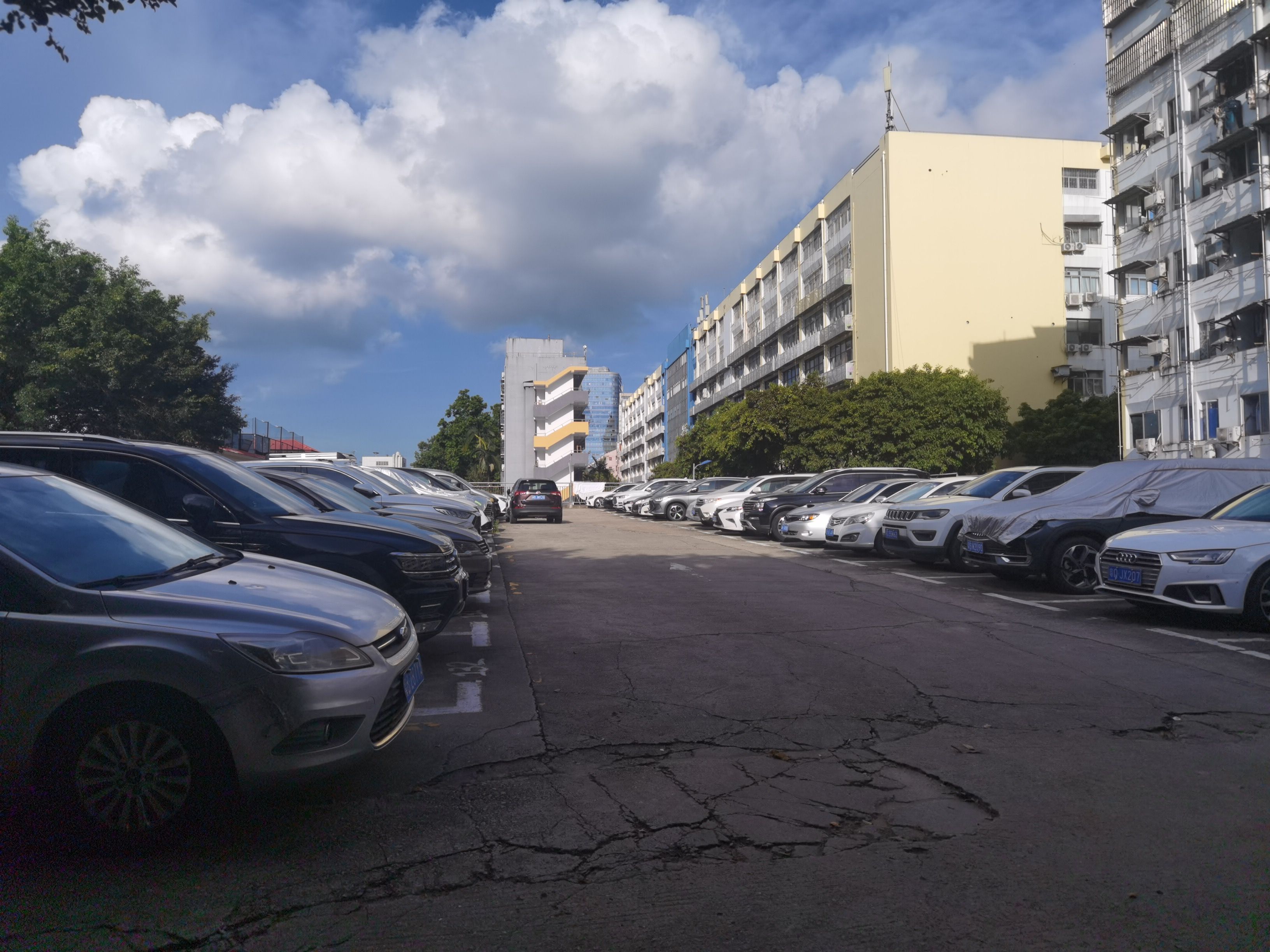 荔园新村(科技园)