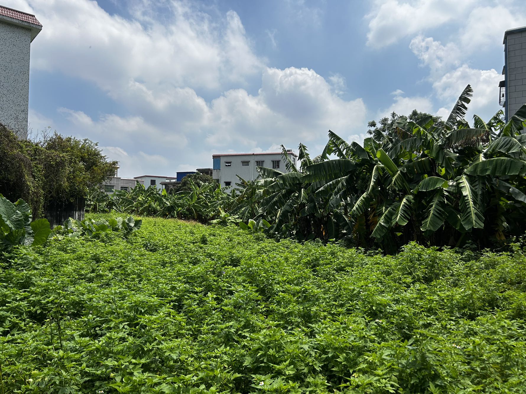 南区恒美三村，3亩地皮-中山恒美三村二手房