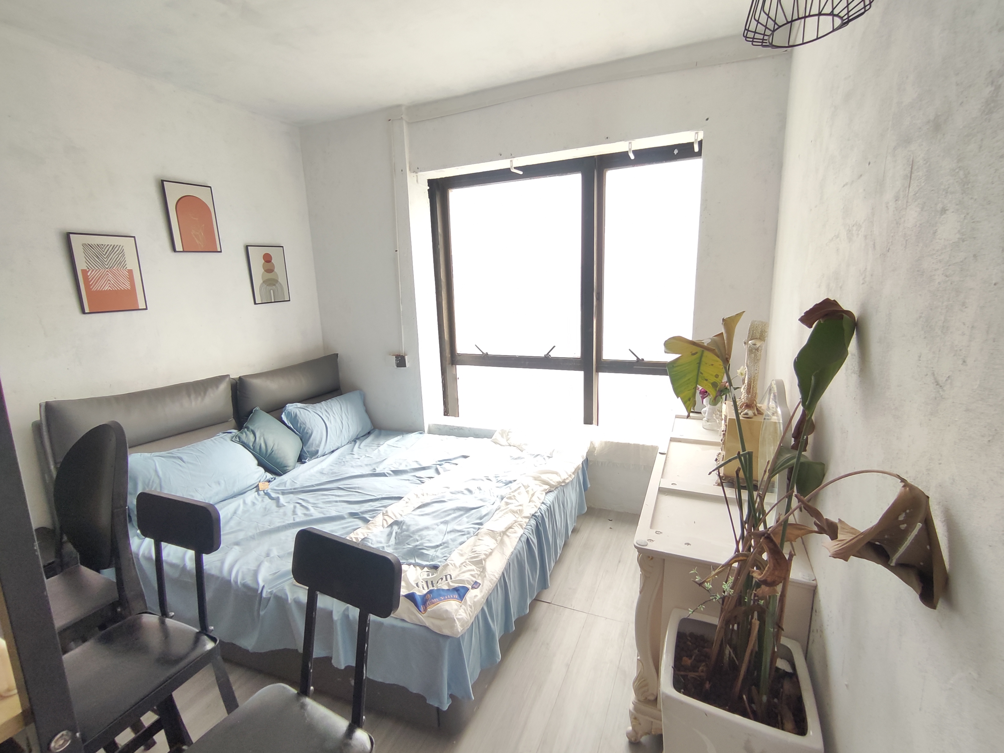 东岸美域公馆 1房0厅1卫 49㎡