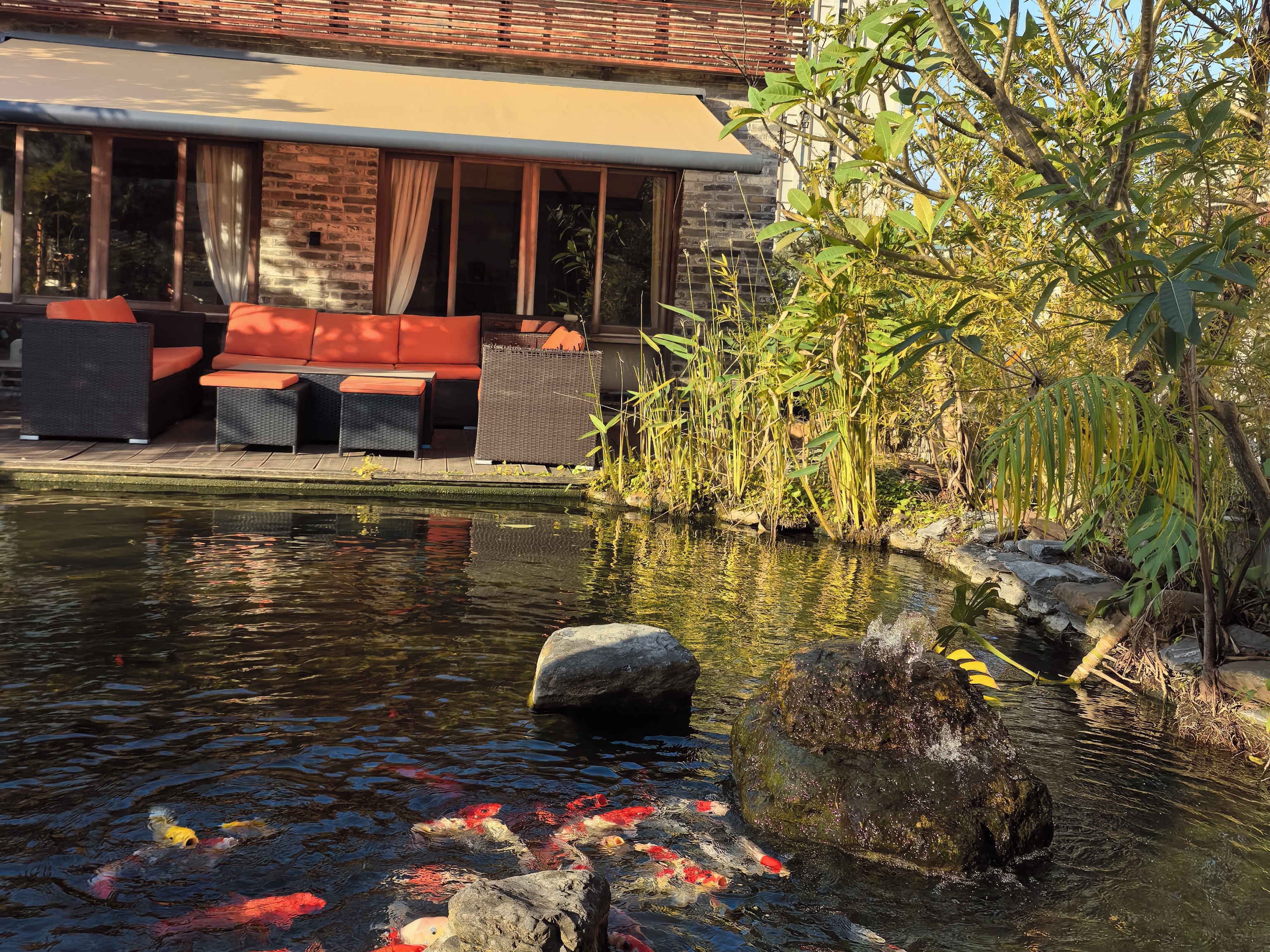 悦来南路自建房会所共享-中山悦来南路自建房租房