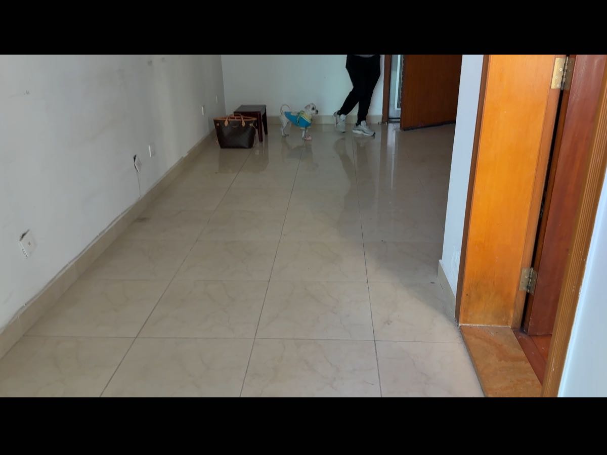 皇庭居 1房1厅1卫 46.85㎡-深圳皇庭居租房