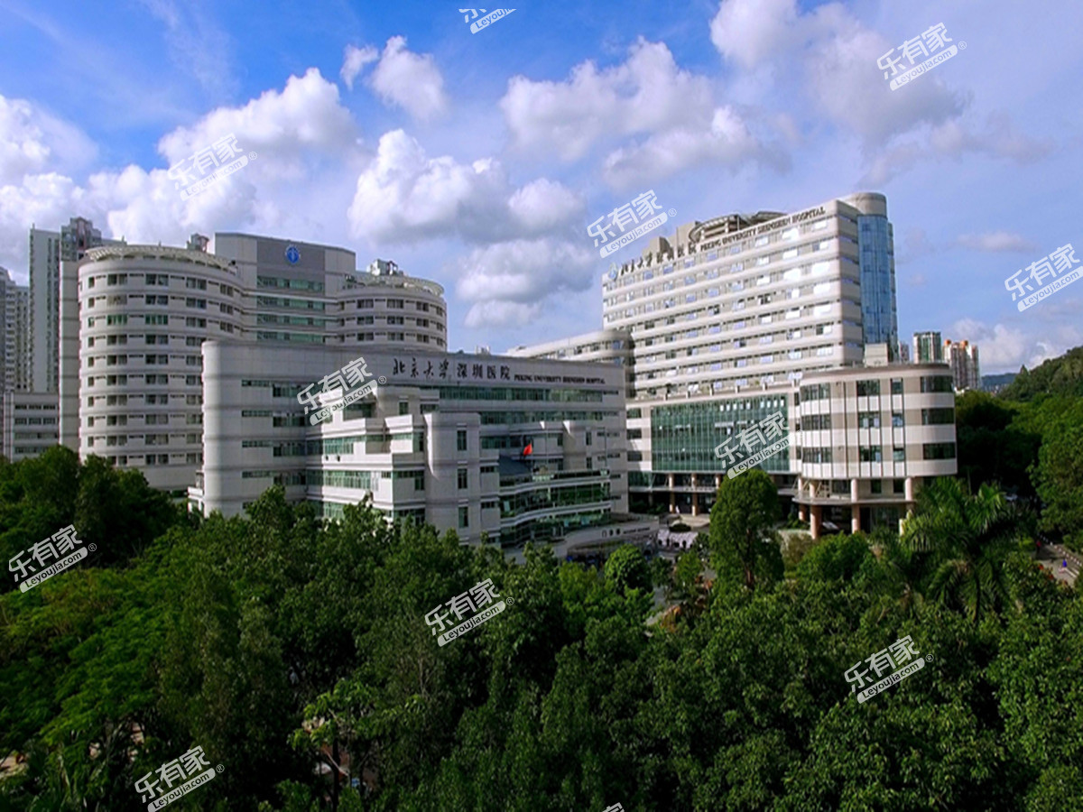 新莲大厦实景图