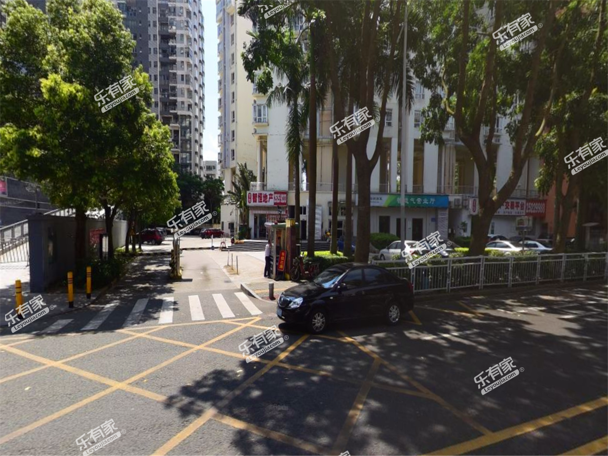 棕榈湾实景图