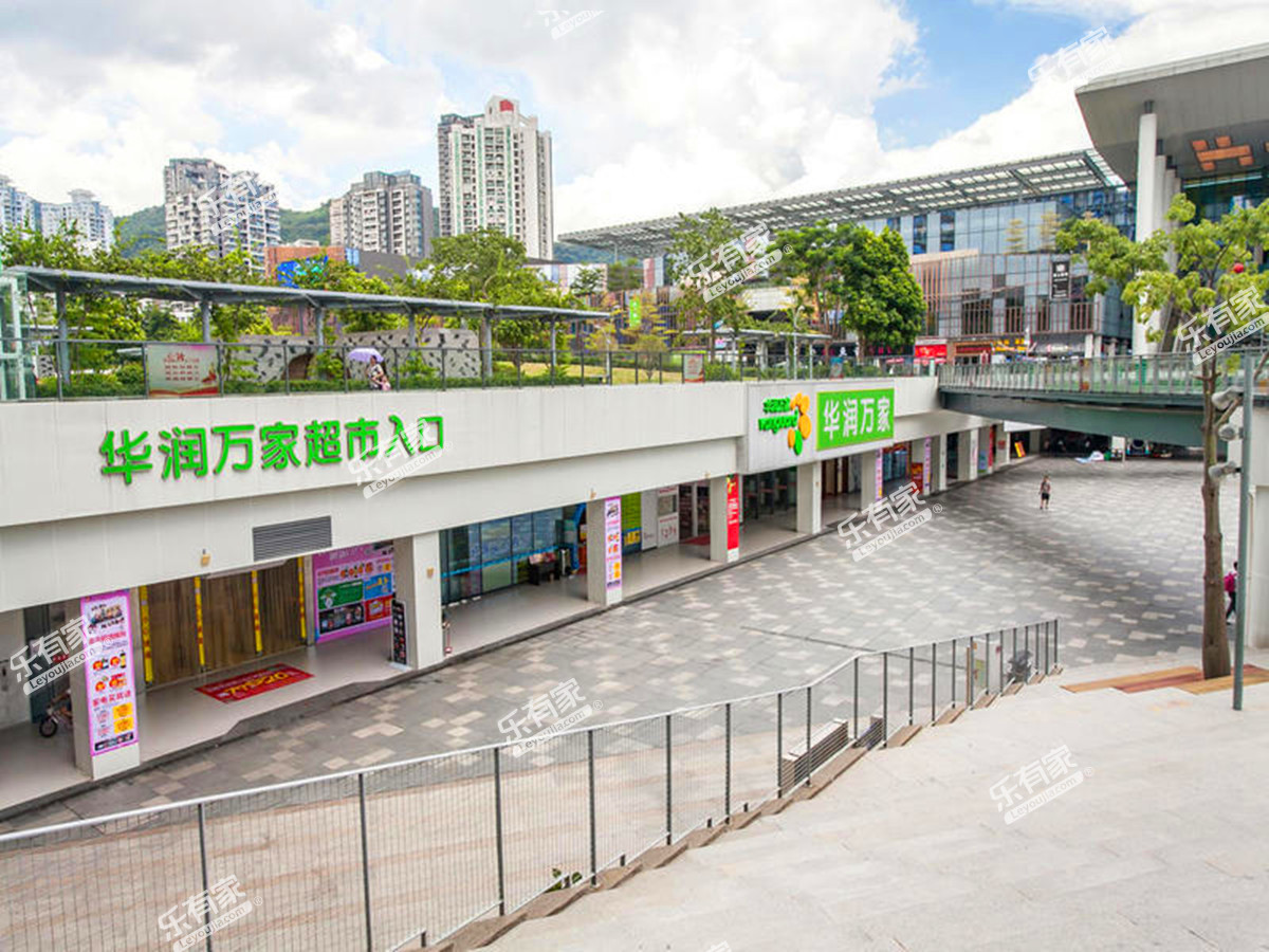 棕榈湾实景图