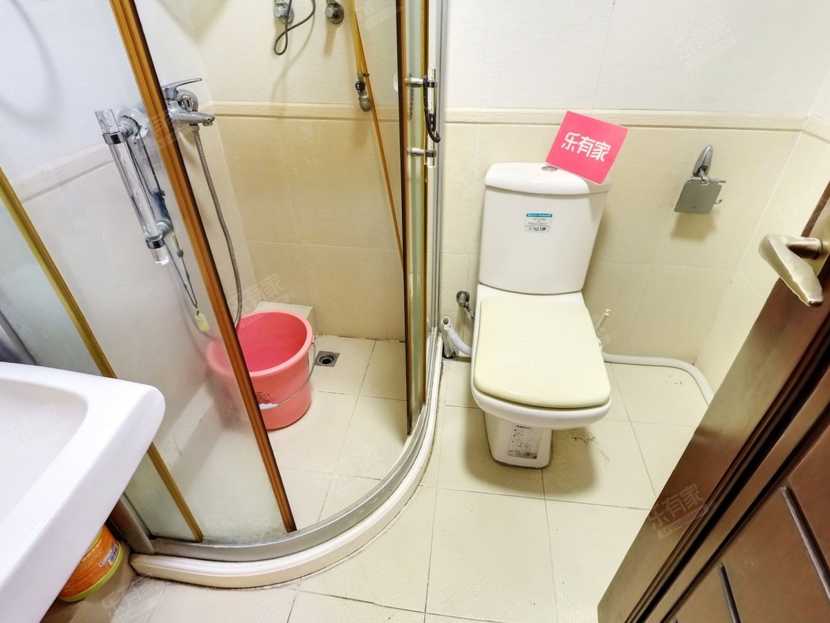 彩田村厕所-1