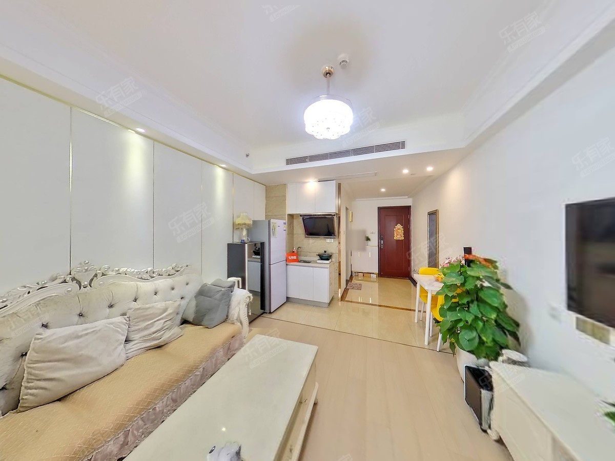 大剧院地铁口，好房推荐，看房方便