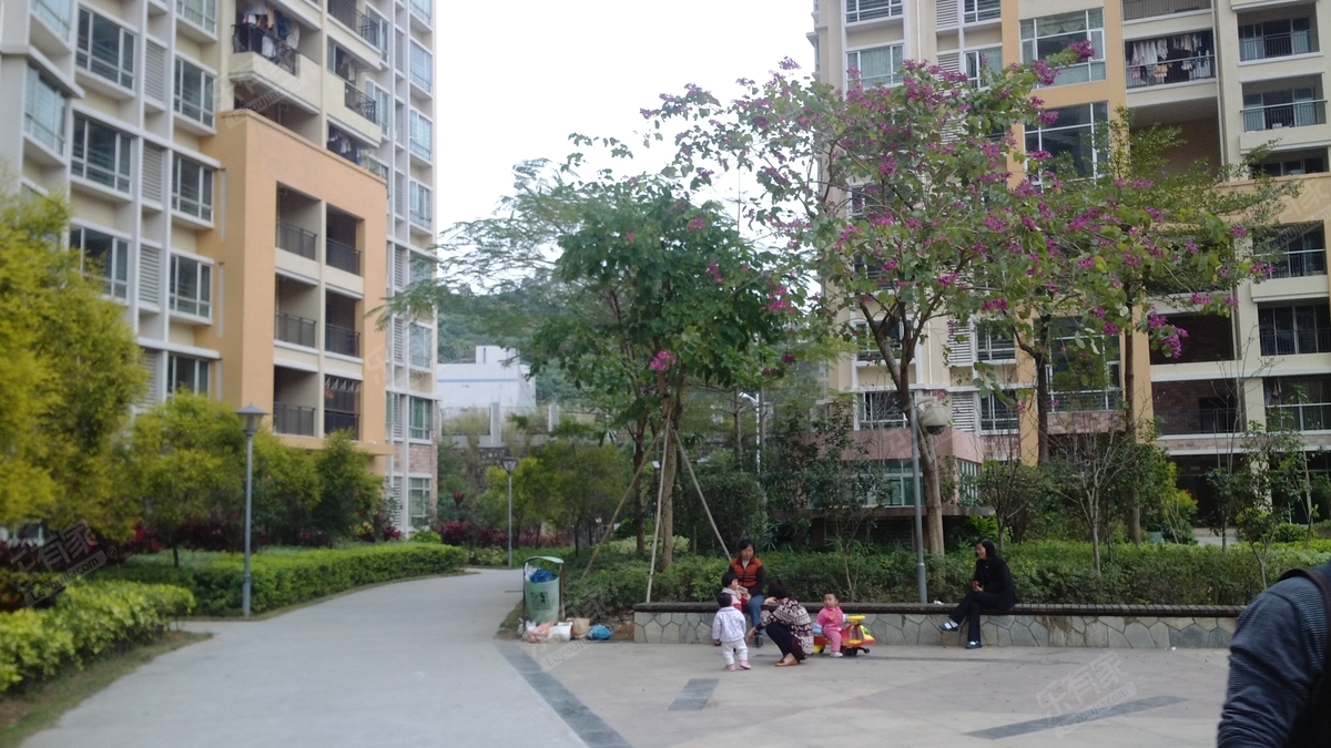 星运绿洲嘉园实景图