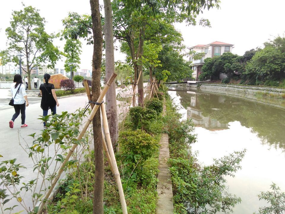 江隆花园（增城）实景图