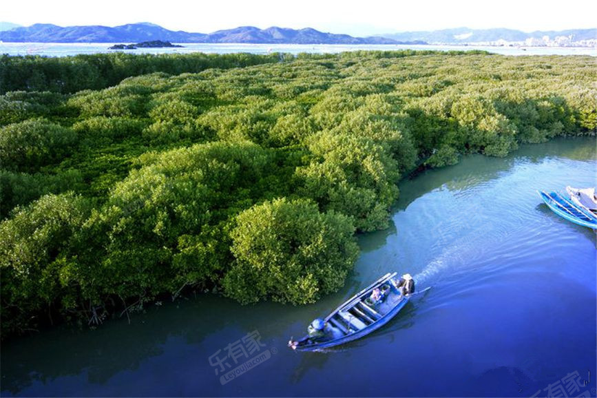 碧桂园九龙湾配套图2