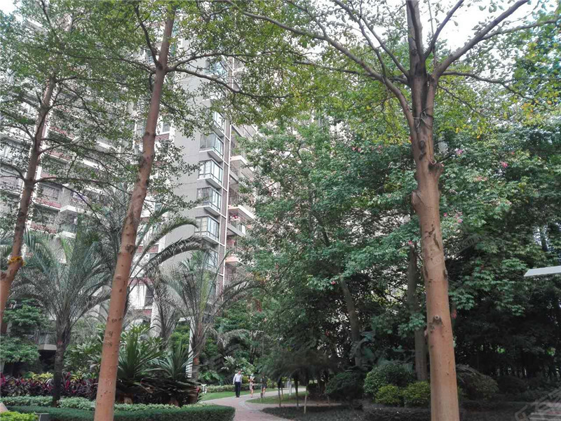尚城国际小区1