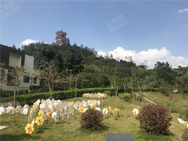 台山颐和温泉城(江门市)实景7