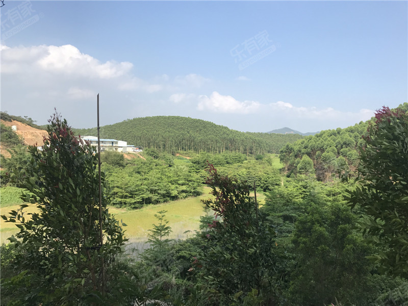 台山颐和温泉城(江门市)实景4