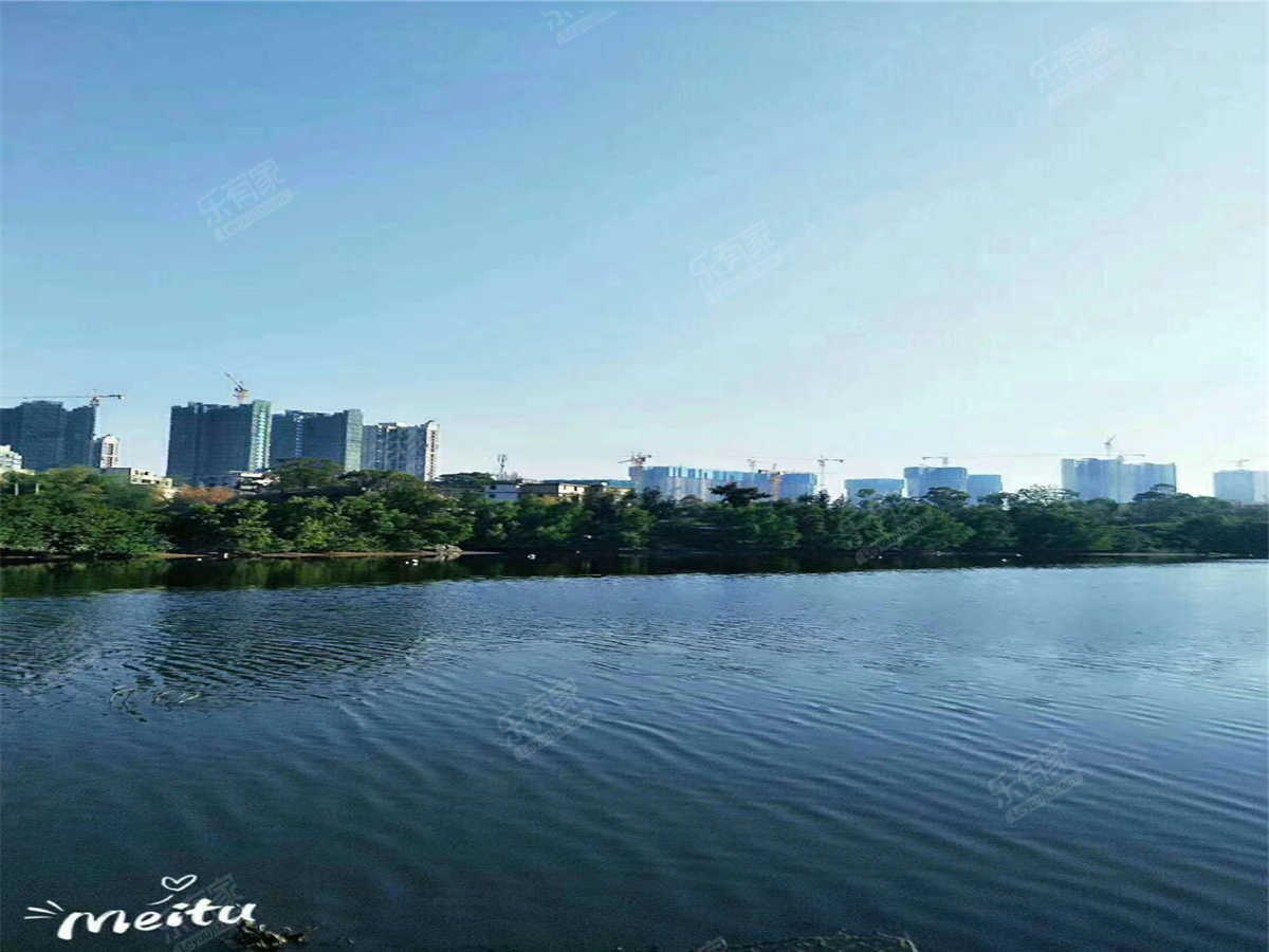 红树景园zb